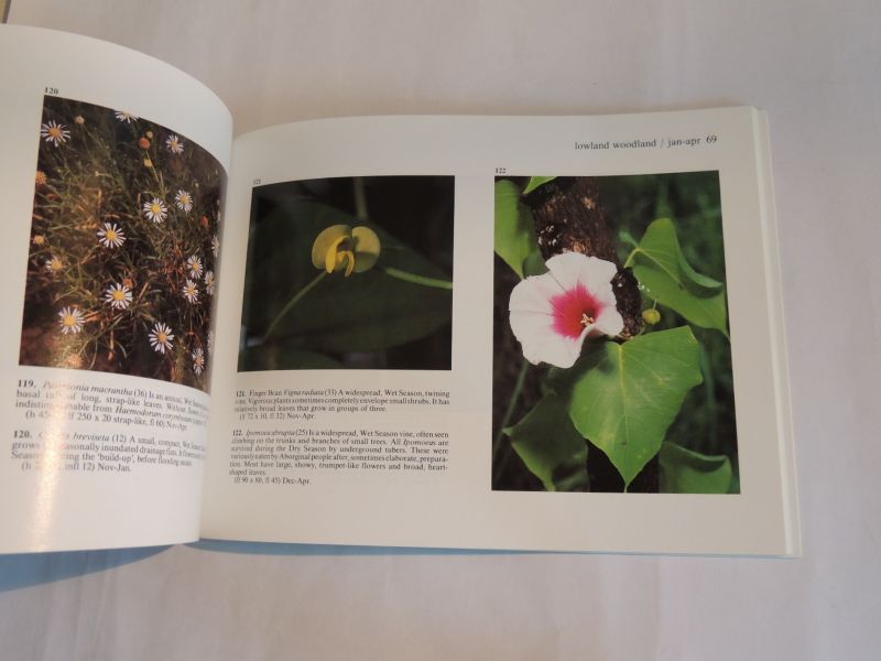 Brennan K - Wildflowers of Kakadu : a guide to the wildflowers of Kakadu National Park and the Top End of the Northern Territory