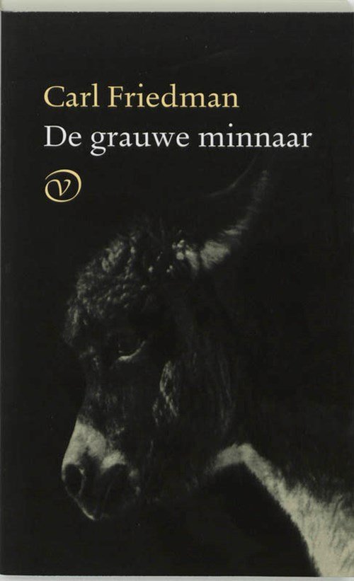 Carl Friedman - De grauwe minnaar