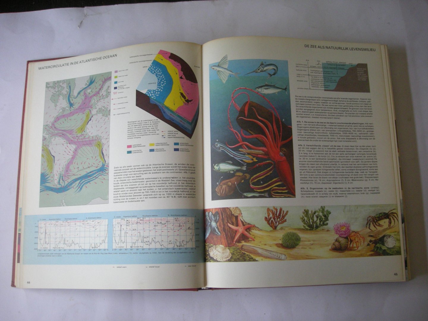 Wubbe,A.F.J.,red. / Groeneveld, J., cartografie - Winkler Prins Gezinsatlas.