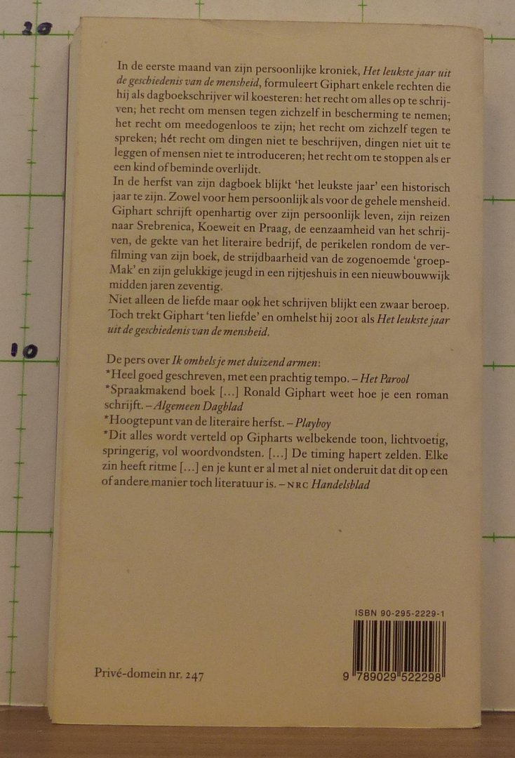 Giphart, Ronald - prive domein - het leukste jaar uit de geschiedenis van de mensheid / persoonlijke kroniek 2001