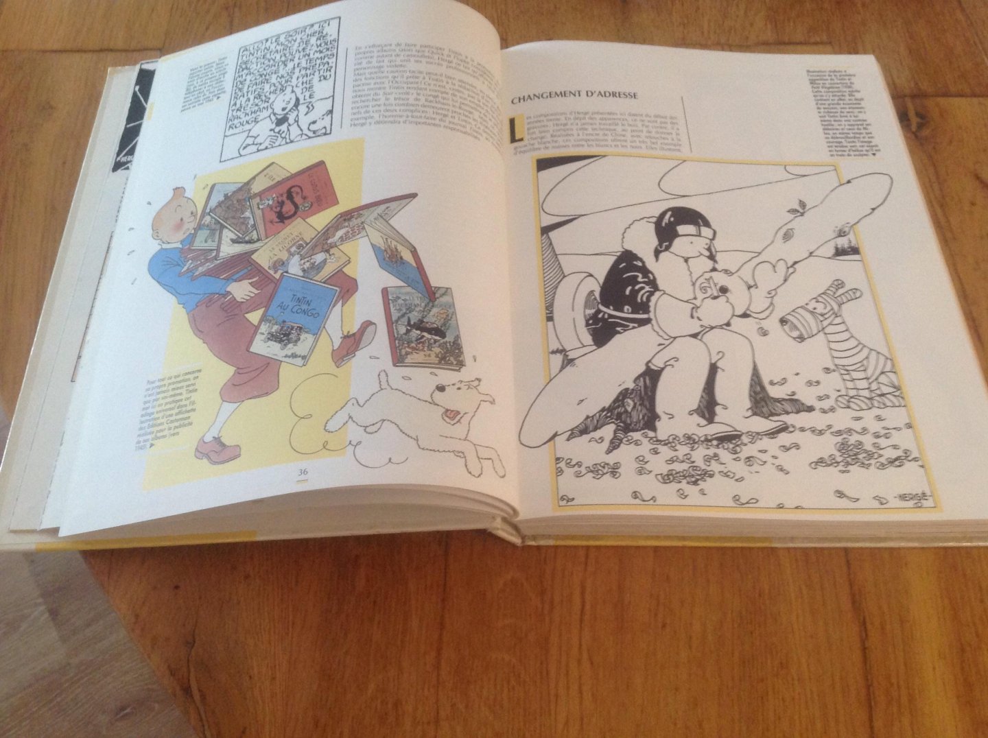 Philippe Goddin - Hergé et Tintin reporters Du Petit Vingtième au Journal Tintin.