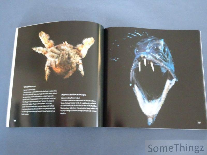 Hoyt, Erich. - Weird Sea Creatures.