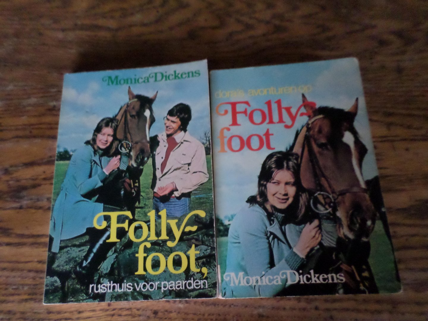 Dickens, Monica - Follyfoot, rusthuis voor paarden
