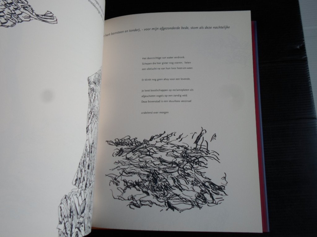 Manneke, Daan - Y.Né, Liggen in een gras, Gedichten en tekeningen, met CD