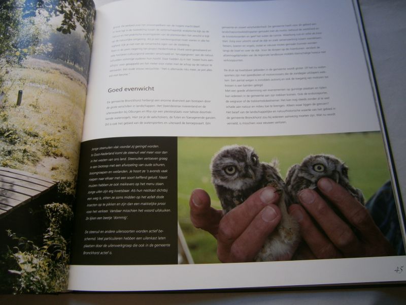 Hilferink, Henk - Gemeente Bronckhorst gedeeld verleden, gezamenlijke toekomst