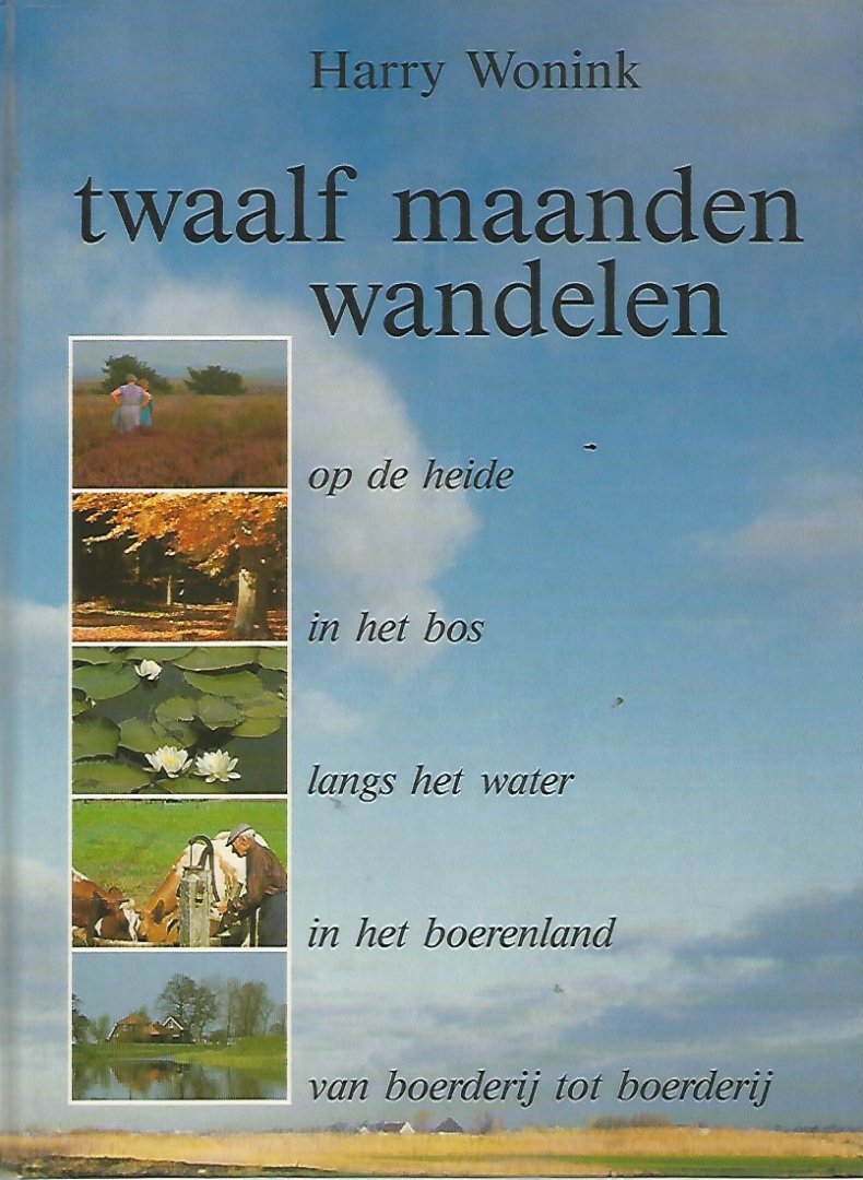 Wonink - Twaalf maanden wandelen / druk 1