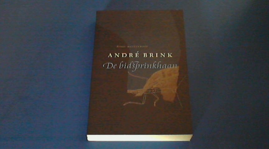 Brink, Andre - De bidsprinkhaan - Een waar verhaal