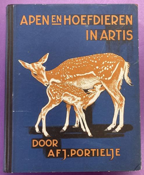 PORTIELJE, AFJ. - Apen en hoefdieren in Artis.