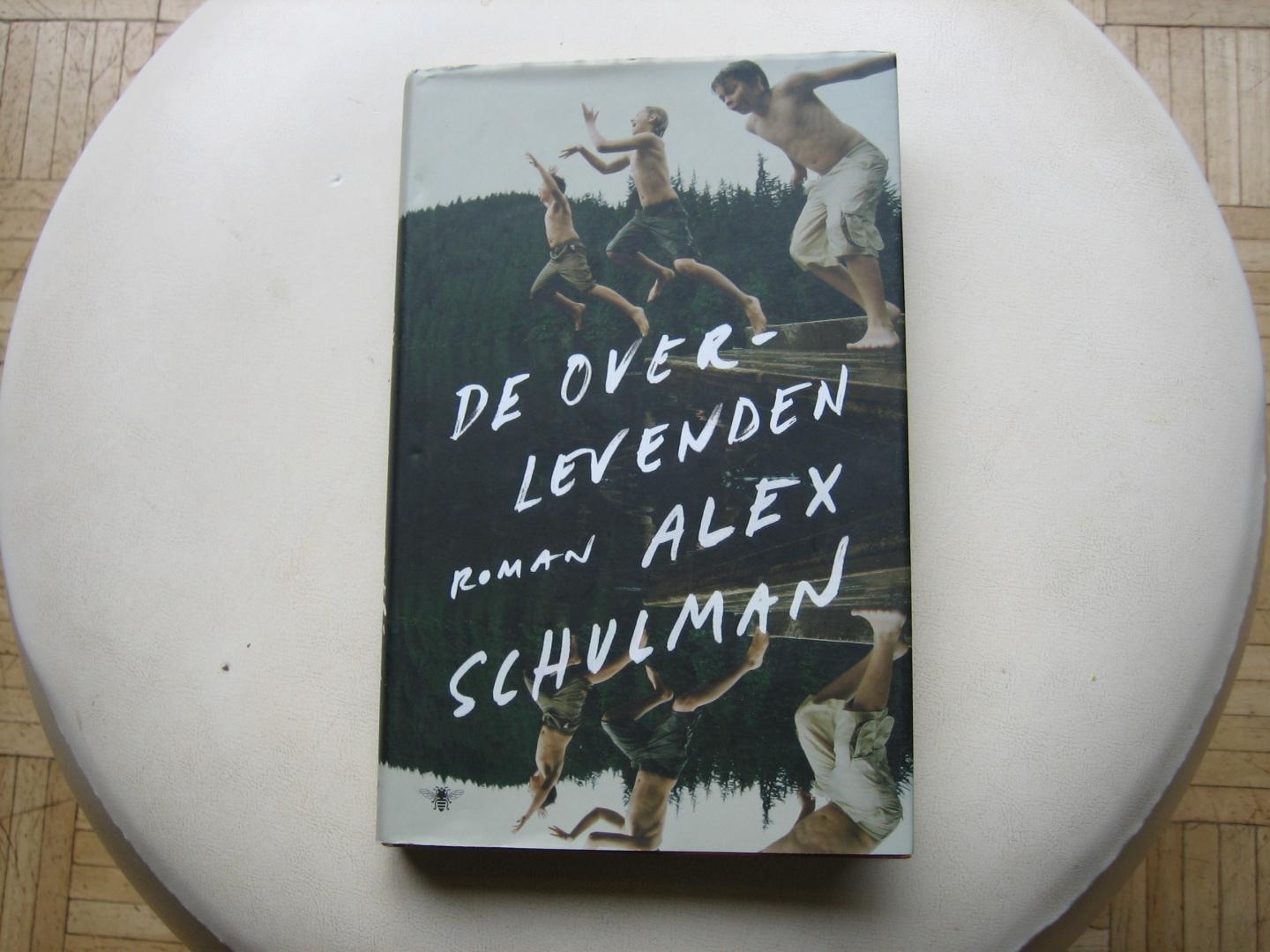 Alex Schulman - De Overlevenden