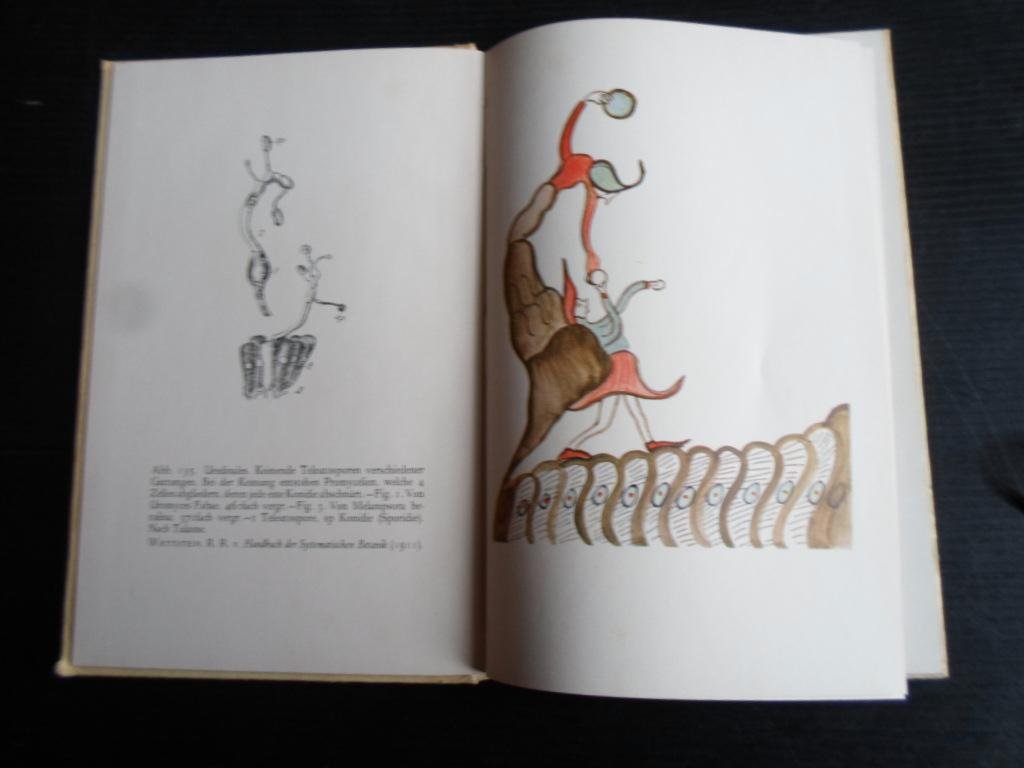 Löhuis, Marie P. Voorwoord - Metamorphosen, Nagelaten tekeningen van Dr.Marianne van Herwerden