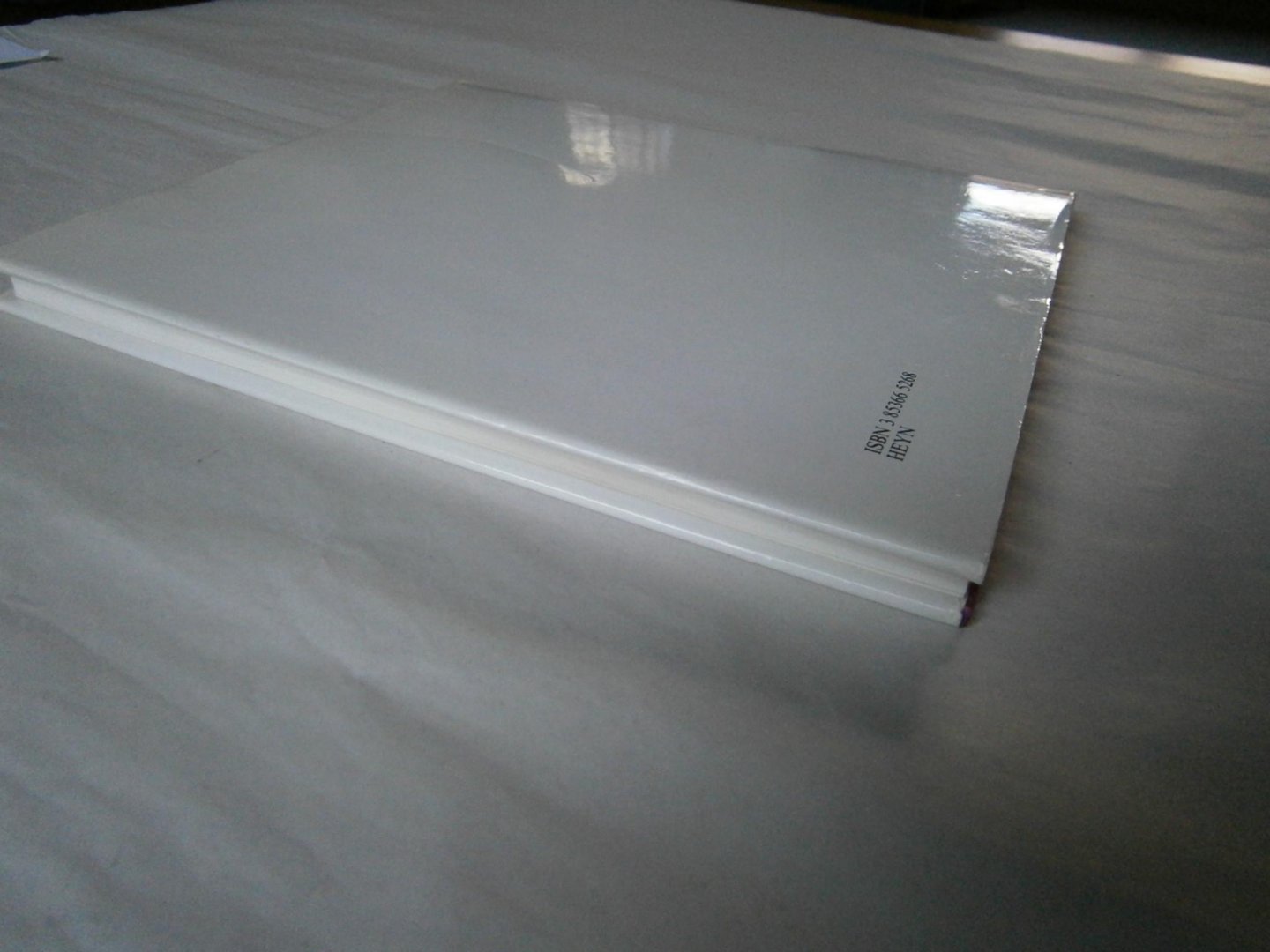 Huber, Axel - Das Millsttäter Fastentuch