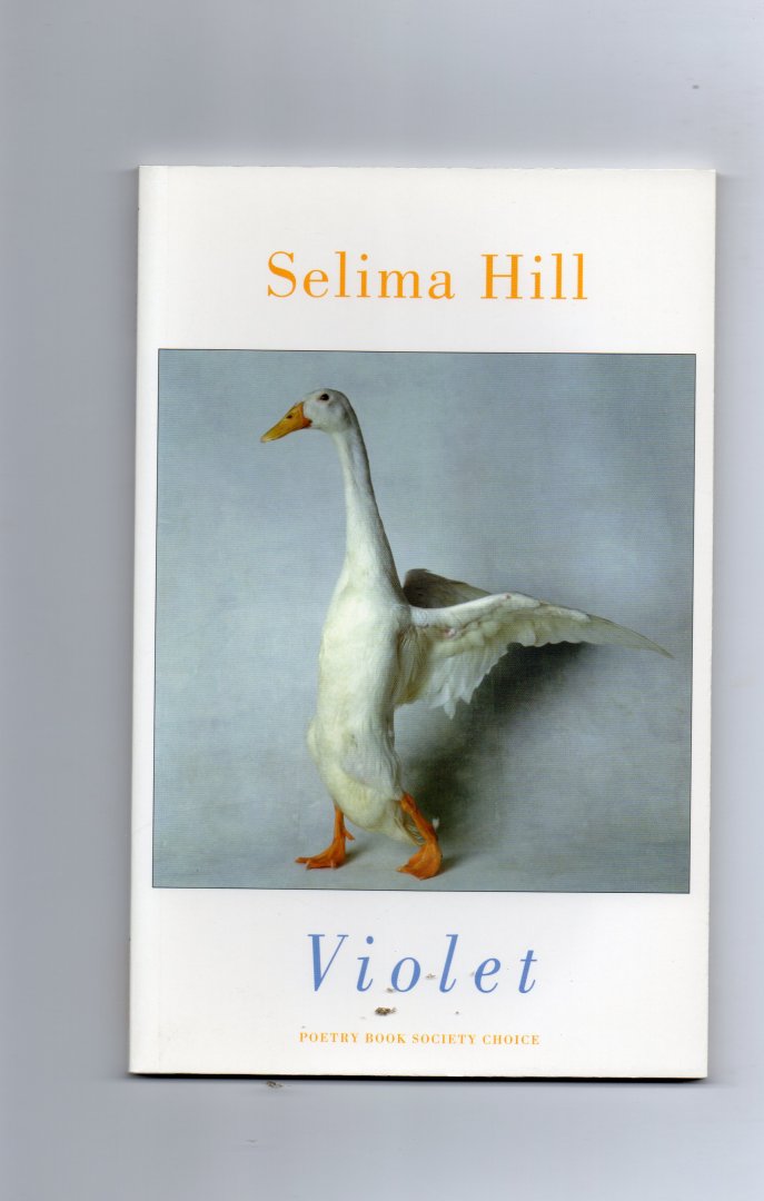 Hill Selima - Violet
