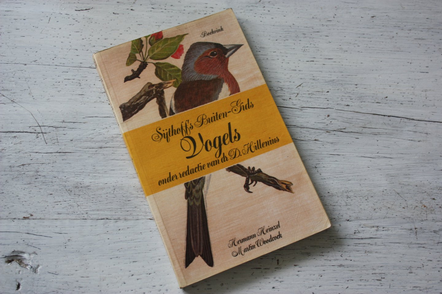 Hillenius, D. - Sijthoff s Buiten-Gids / VOGELS