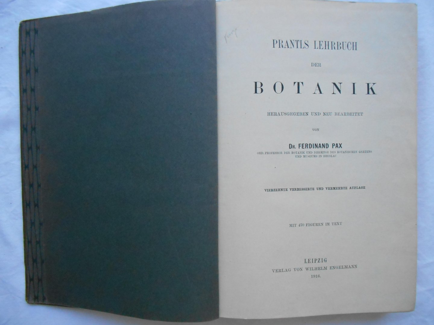 Pax, Ferdinand - Prantls Lehrbuch der Botanik