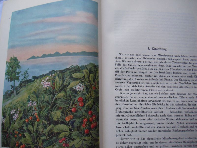 Rikli, Prof. Dr. M. - Das Pflanzenkleid der Mittelmeerländer deel 1, 2 en 3