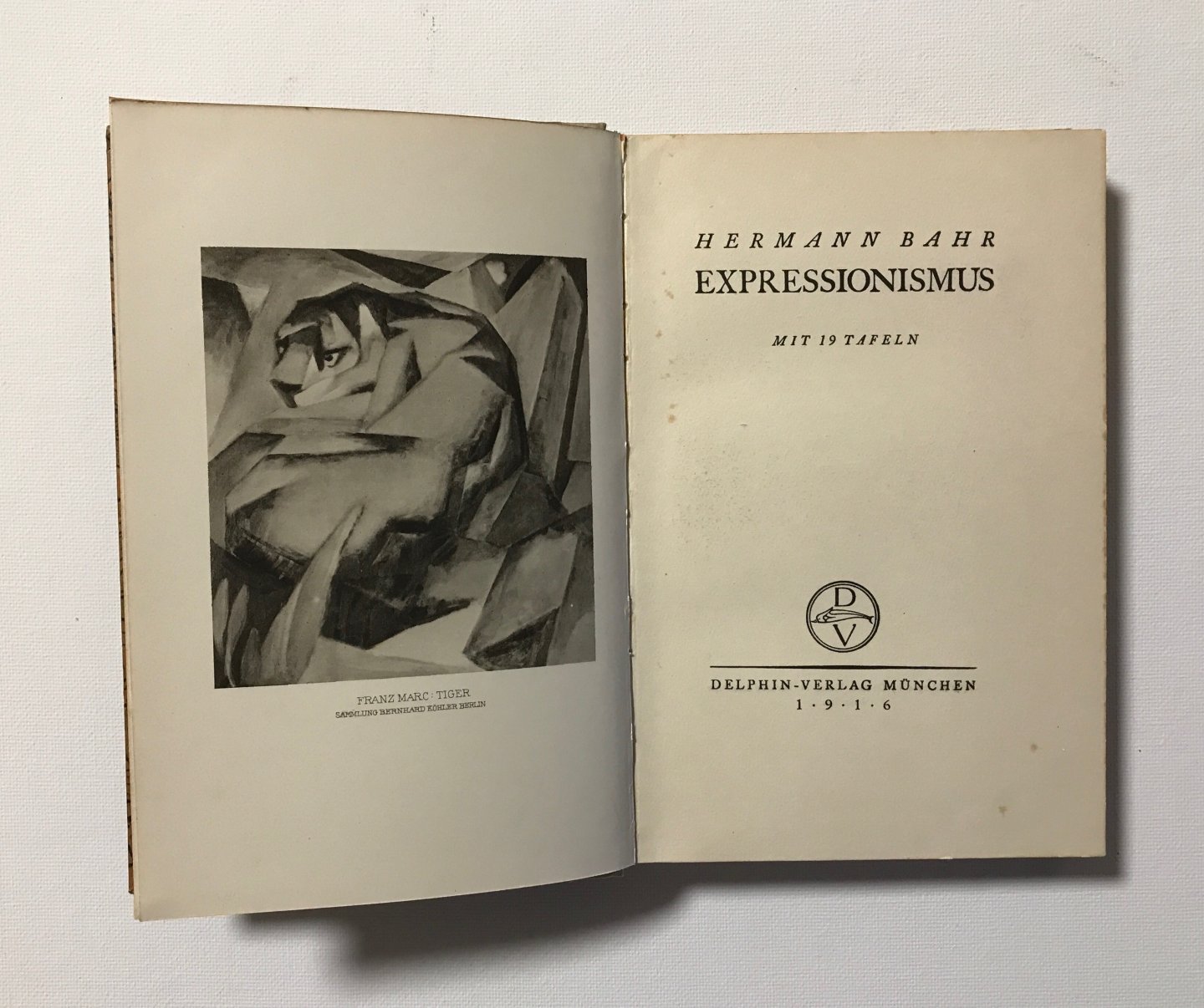 Bahr, Hermann - Expressionismus. Mit 19 tafeln.