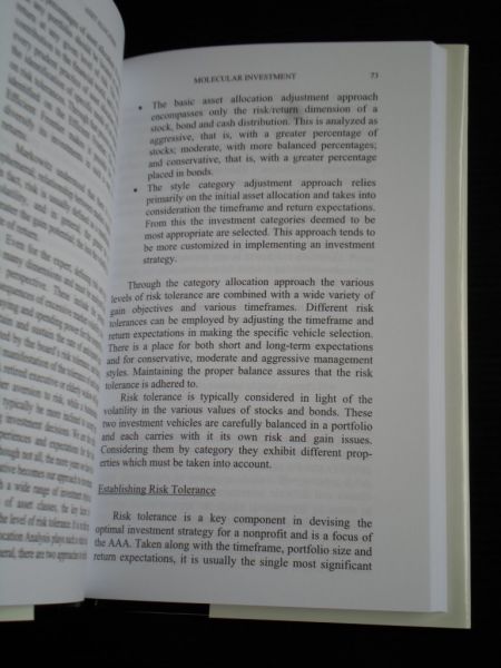 Matloff, R.M. & R.M.Ehrlich - Molecular Investment, Consulting for Philanthropies, A Holistic Approach for Nonprofit Management