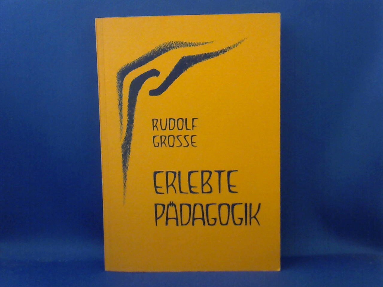 Grosse, Rudolf - Erlebte Pädagogik. Schicksal und Geisteswege