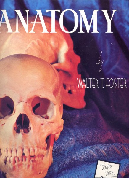 FOSTER, WALTER T. - Anatomy - Anatomy for students and teachers