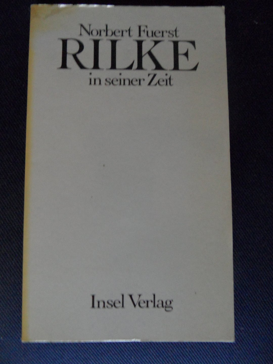Fuerst, Norbert - Rilke in seiner Zeit