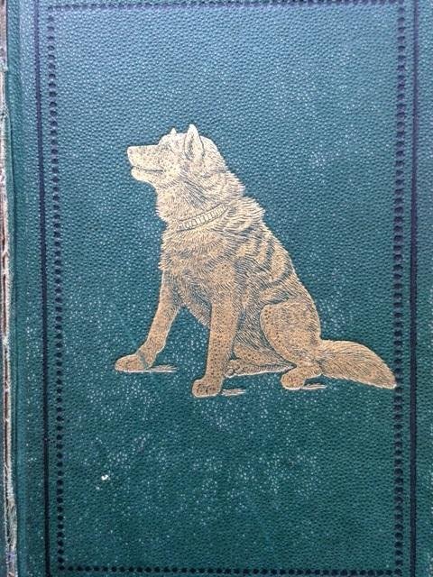 Butler, W.F. - The Wild North Land. Being the Story of a Winter Journey, with Dogs, Across Northern North America