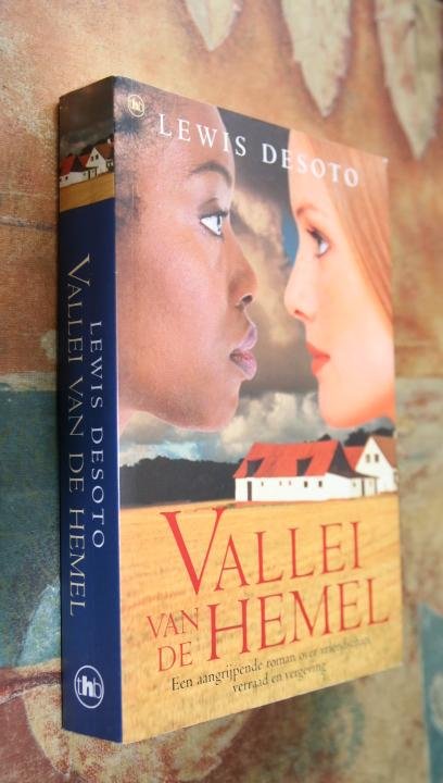 Desoto, Lewis - Vallei van de Hemel. Een aangrijpende roman over vriendschap, verraad en vergeving