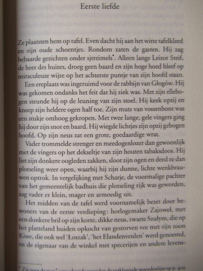 Stryjkowski, Julian - Stemmen in het duister