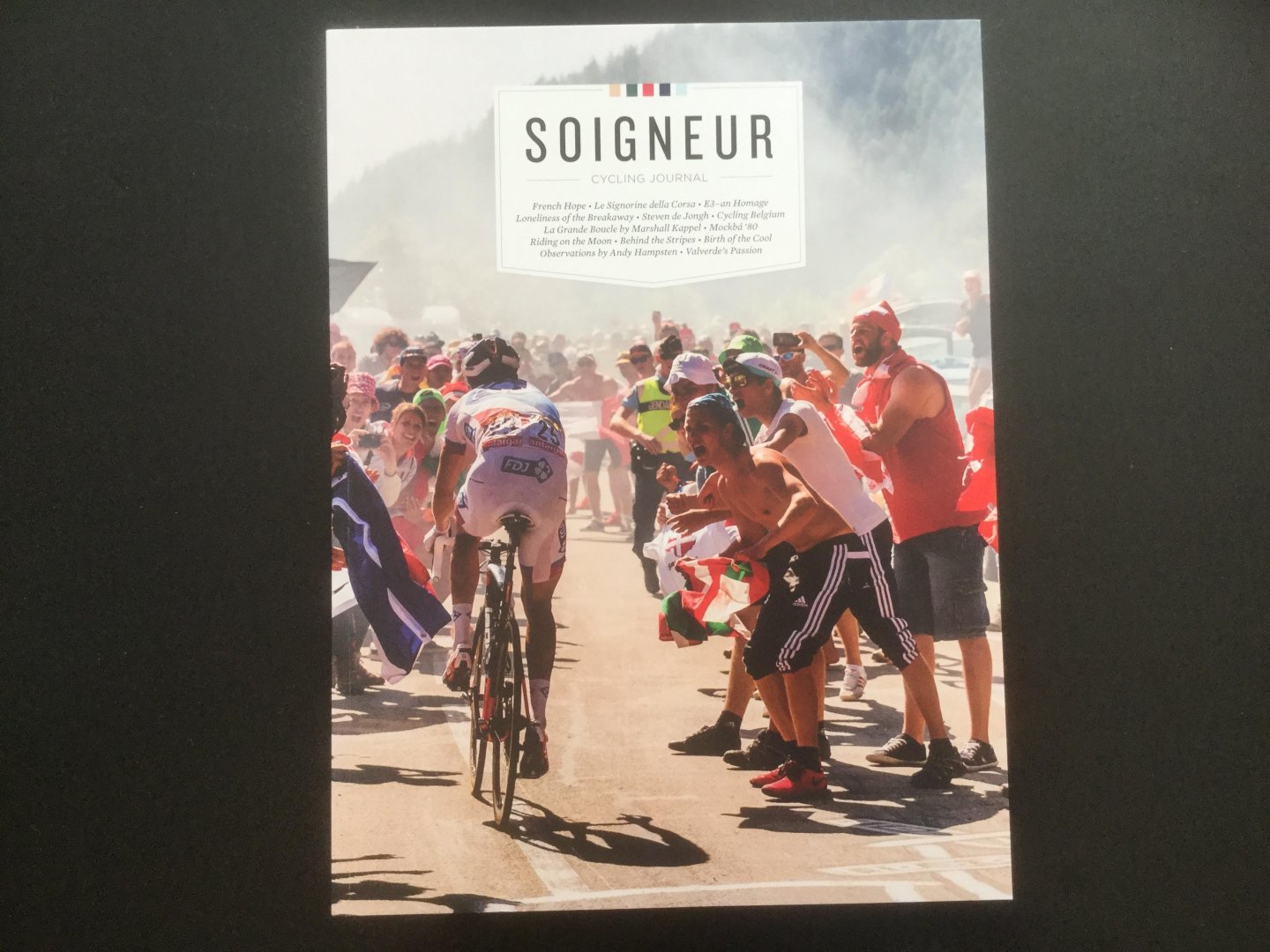 Boot, Martijn - Soigneur Cycling Journal #15