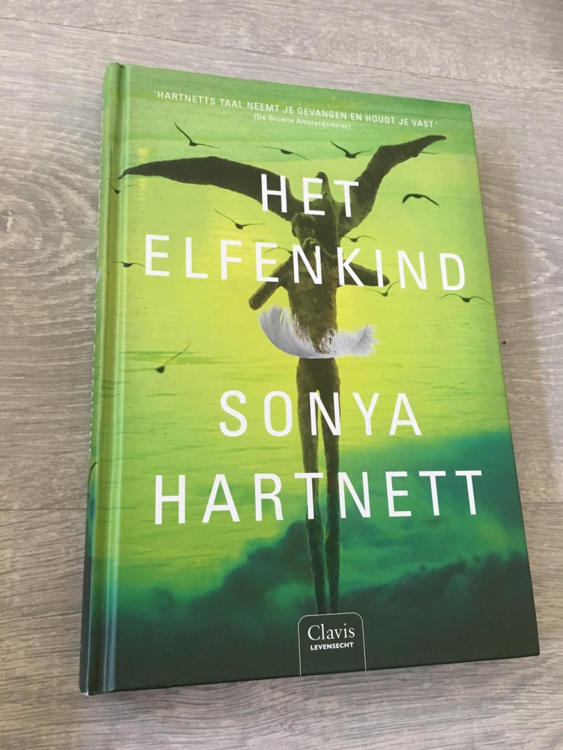 Sonya Hartnett - Het elfenkind