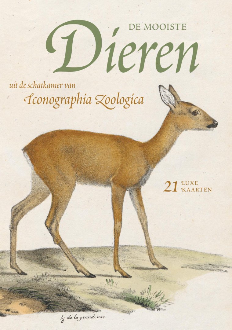 Iconographia Zoologica - De mooiste dieren uit de schatkamer van Iconographia Zoologica