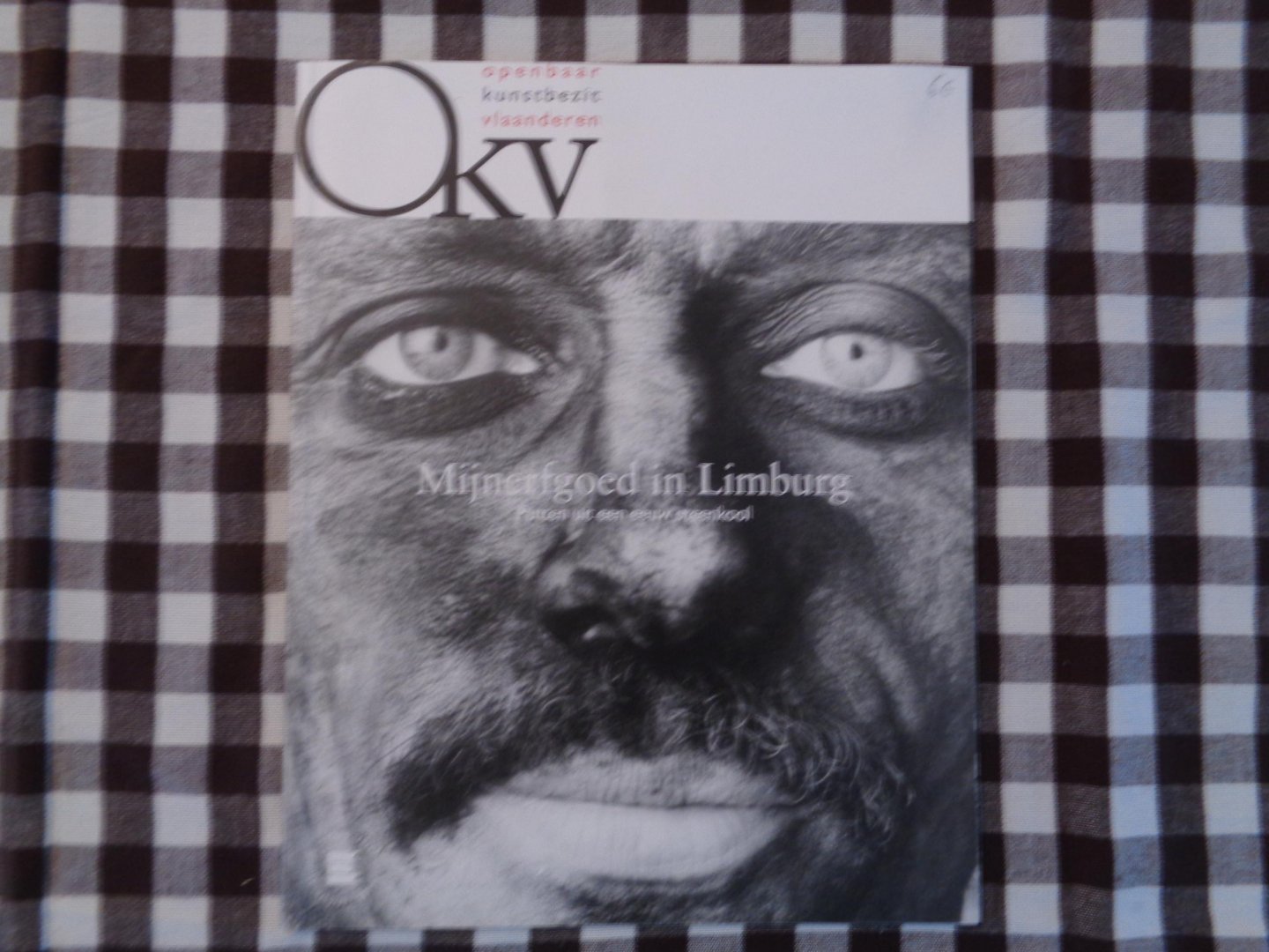 gilbert van baelen-patrick witters - mijnerfgoed in limburg