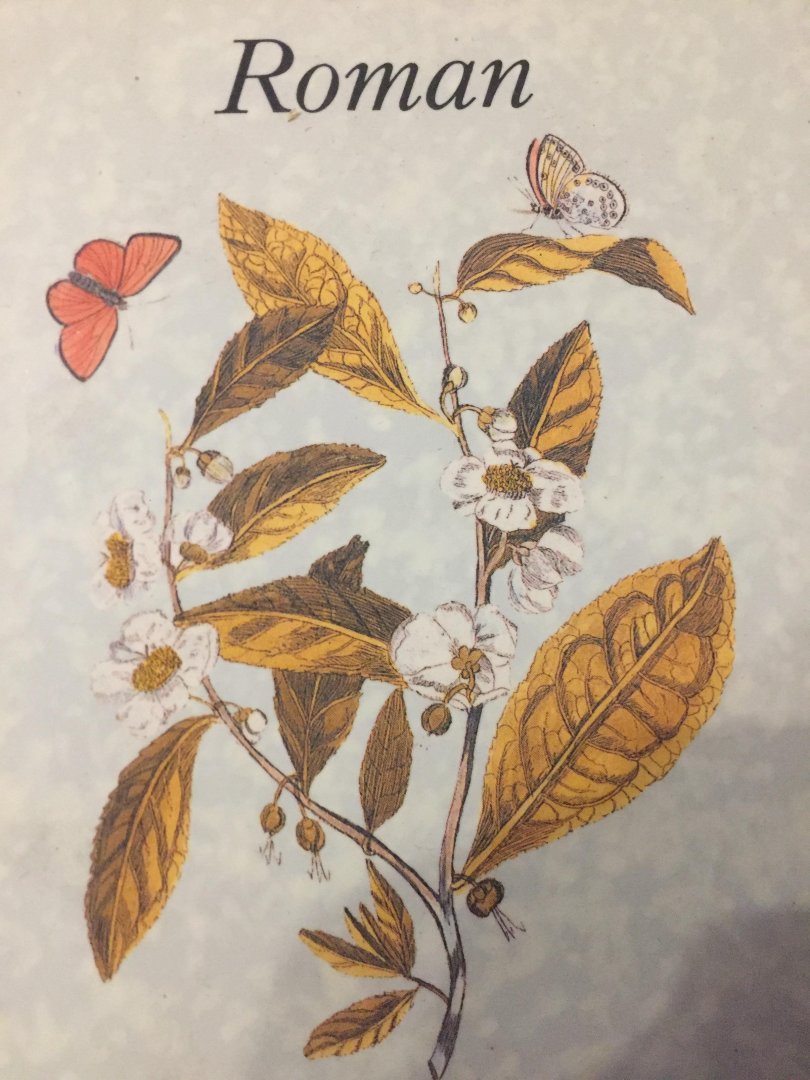 Haasse, H.S. - Heren van de thee / druk 2