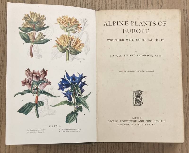THOMPSON, HAROLD. - Alpine plants of Europe. Together with cultural hints.