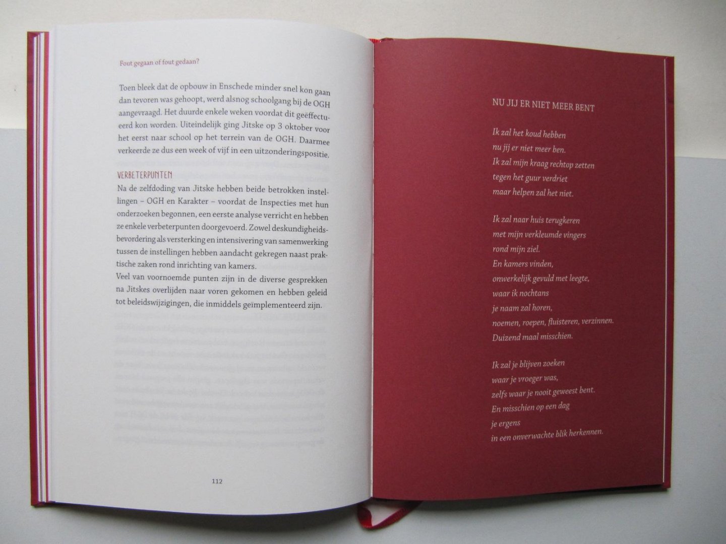 Stanneke Lunter - Geen pijn- geen angst - geen leven; de veerkracht voorbij