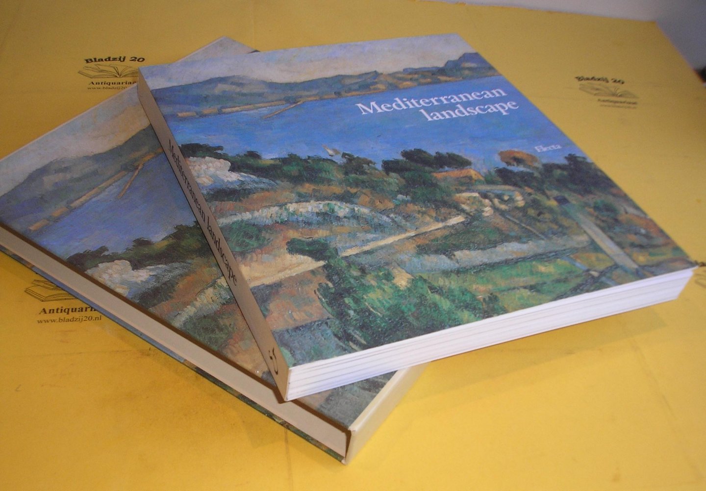 Luginbühl, Yves (general ed.). - Mediterranean Landscape.