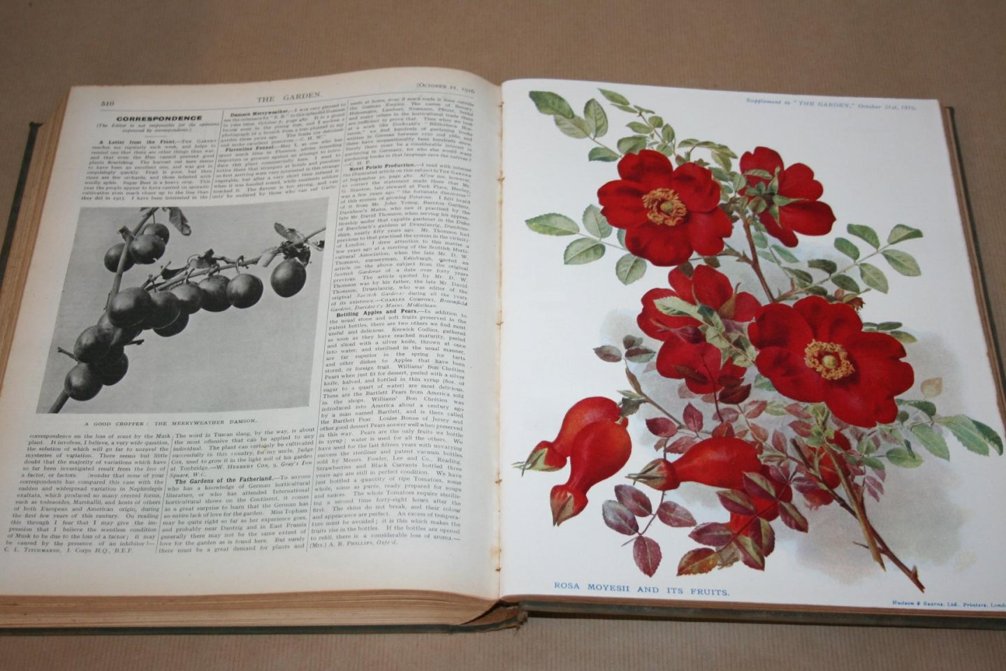 H. Cowley - The Garden - 1916 -- Illustrated Weekly Journal -- Horticulture in all its Branches