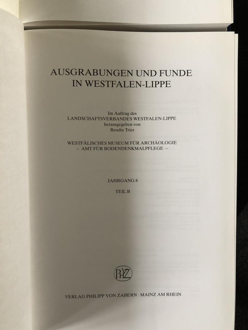 Trier, Bendix et al., Westfälisches Museum für Archäologie - Amt für Bodendenkmalpflege, Münster i.W. (Hrsg.) - Ausgrabungen und Funde in Westfalen-Lippe (AFWL) 7, 8A, 8B, 9B  (4 Bde) -- ook los te koop