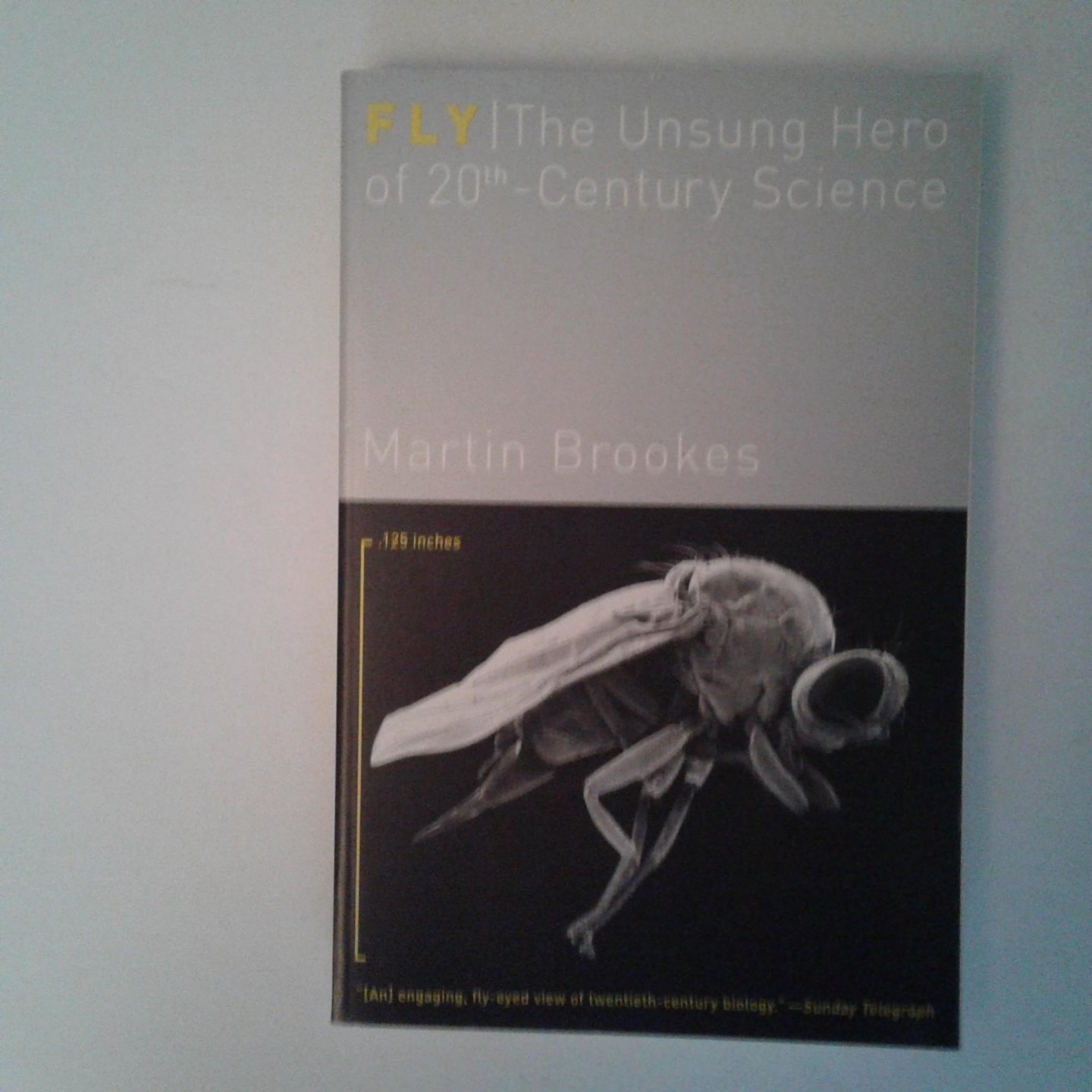 Brookes, Martin - Fly ; The Unsung Hero of 20th Century Science