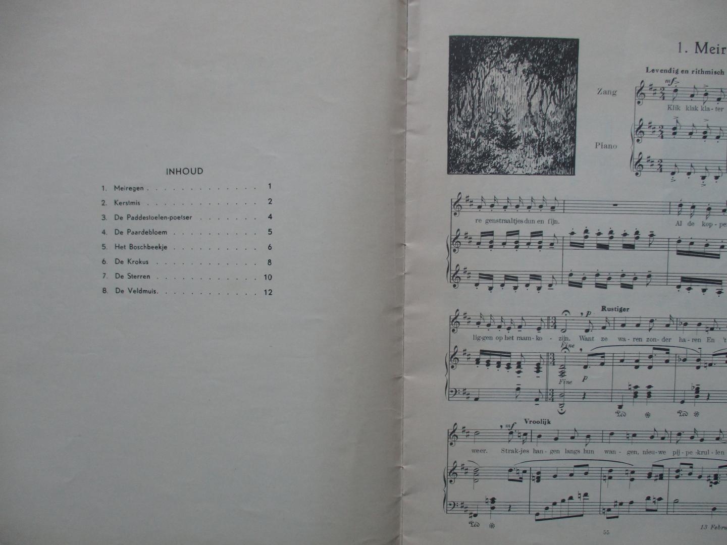 Tomkins, David - Vonkjes    8 kindergedichtjes van David Tomkins op muziek gezet door Lottie Koekoek
