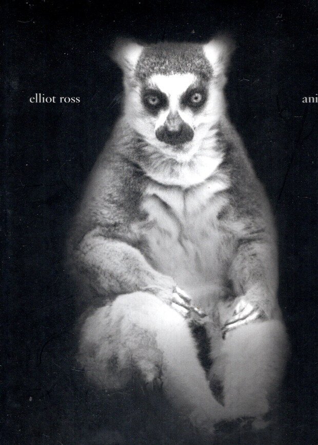 ROSS, Elliot - Elliot Ross - animal + other animals [Signed].