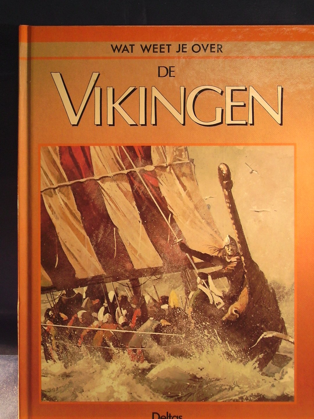  - Wat weet je over de Vikingen