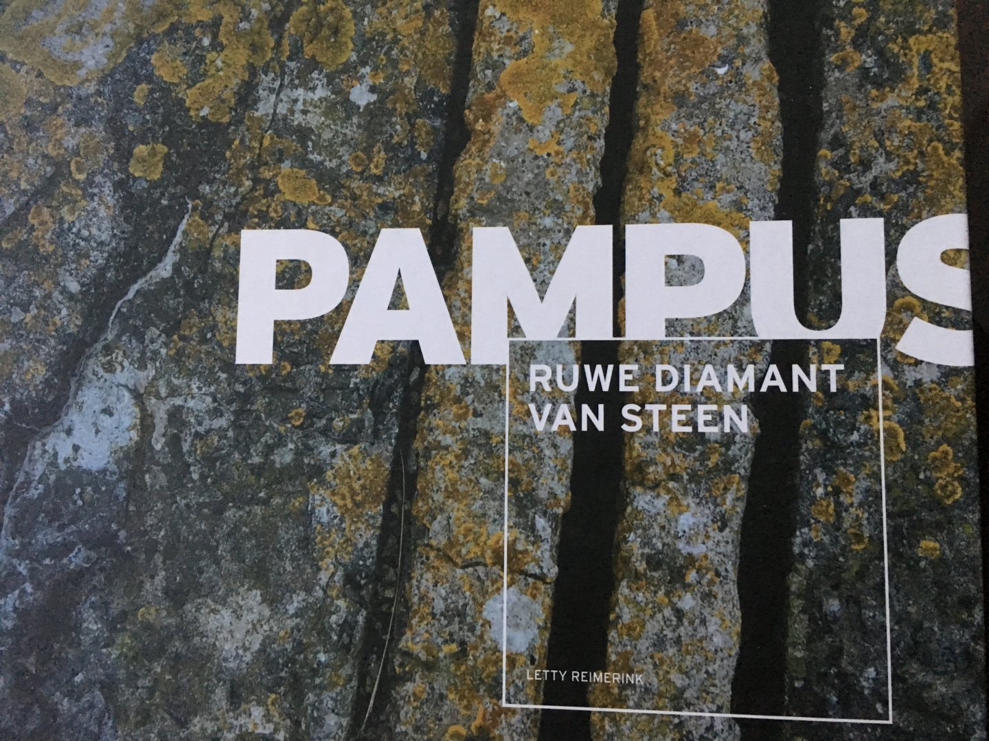 Letty Reimerink - Pampus, ruwe diamant van steen