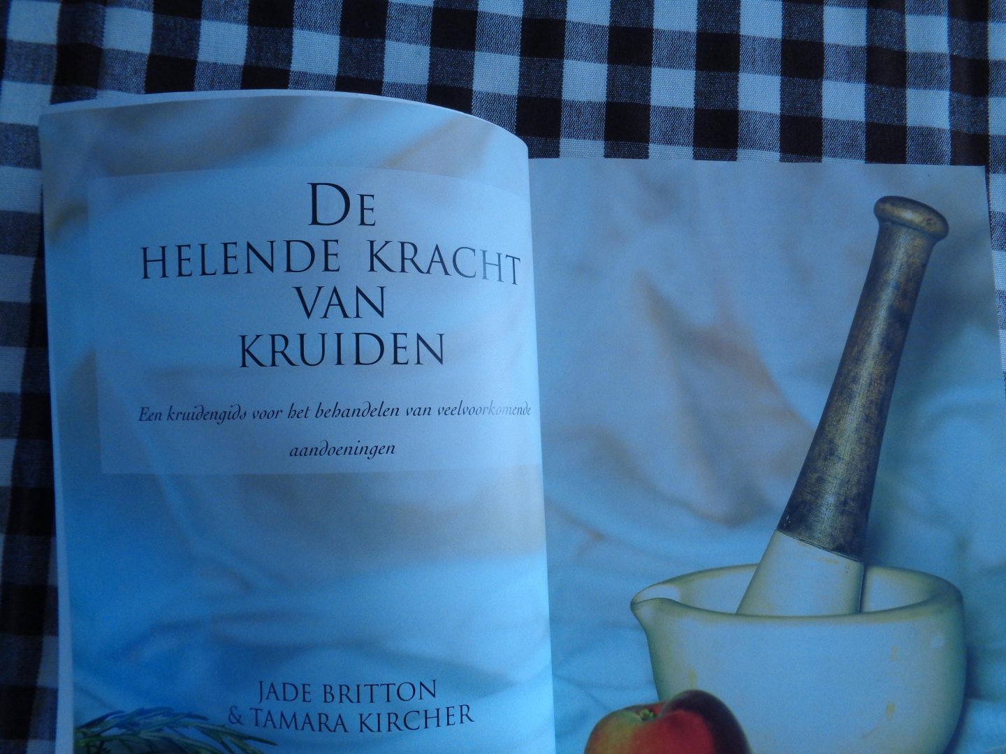 Britton, J. - Helende kracht van kruiden / druk 1