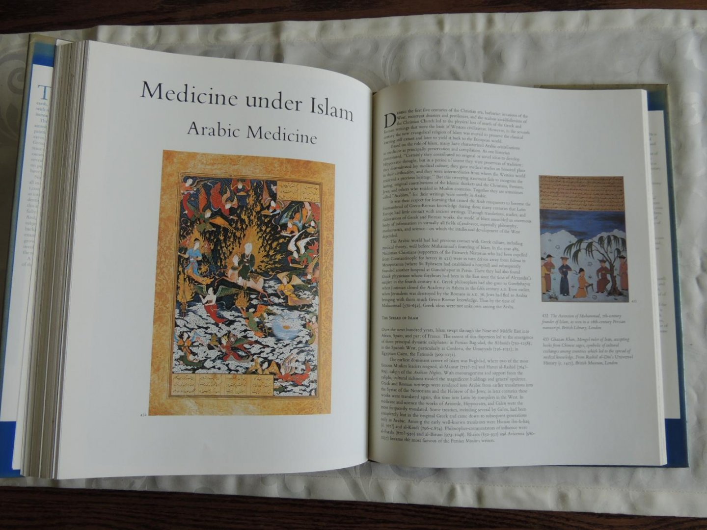 Lyons, Albert S. / Petrucelli, R.Joseph - Merck's Medicine, an illustrated history. PART I  and PART II