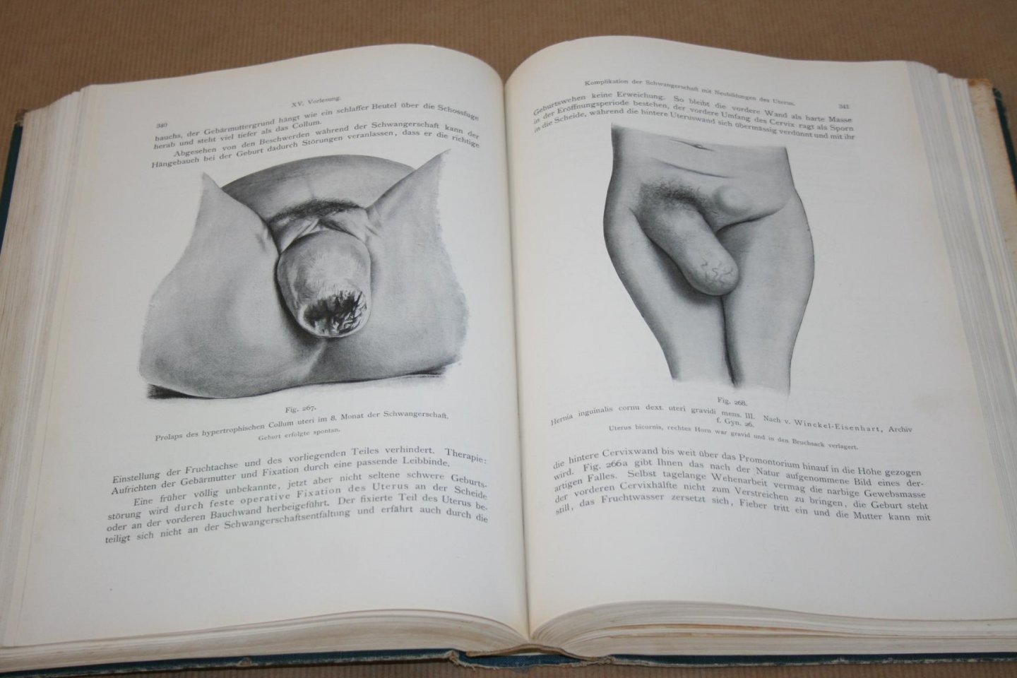 Dr. Ernst Bumm - Grundriss zum Studium der Geburtshilfe