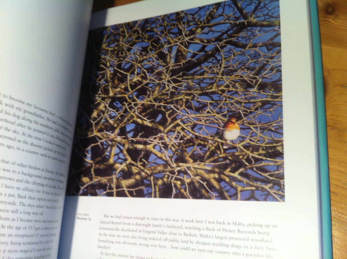 Brown, Andy & Michael Warren - There and Back? A Celebration of Bird Migration