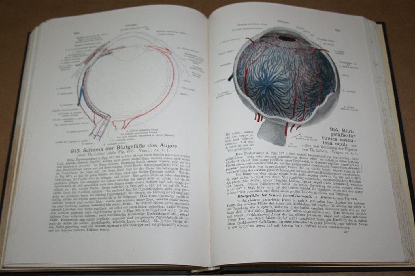 Werner Spalteholz - Handatlas der Anatomie des Menschen — Band 3. Eingeweide, Gehirn, Nerven, Sinnesorgane