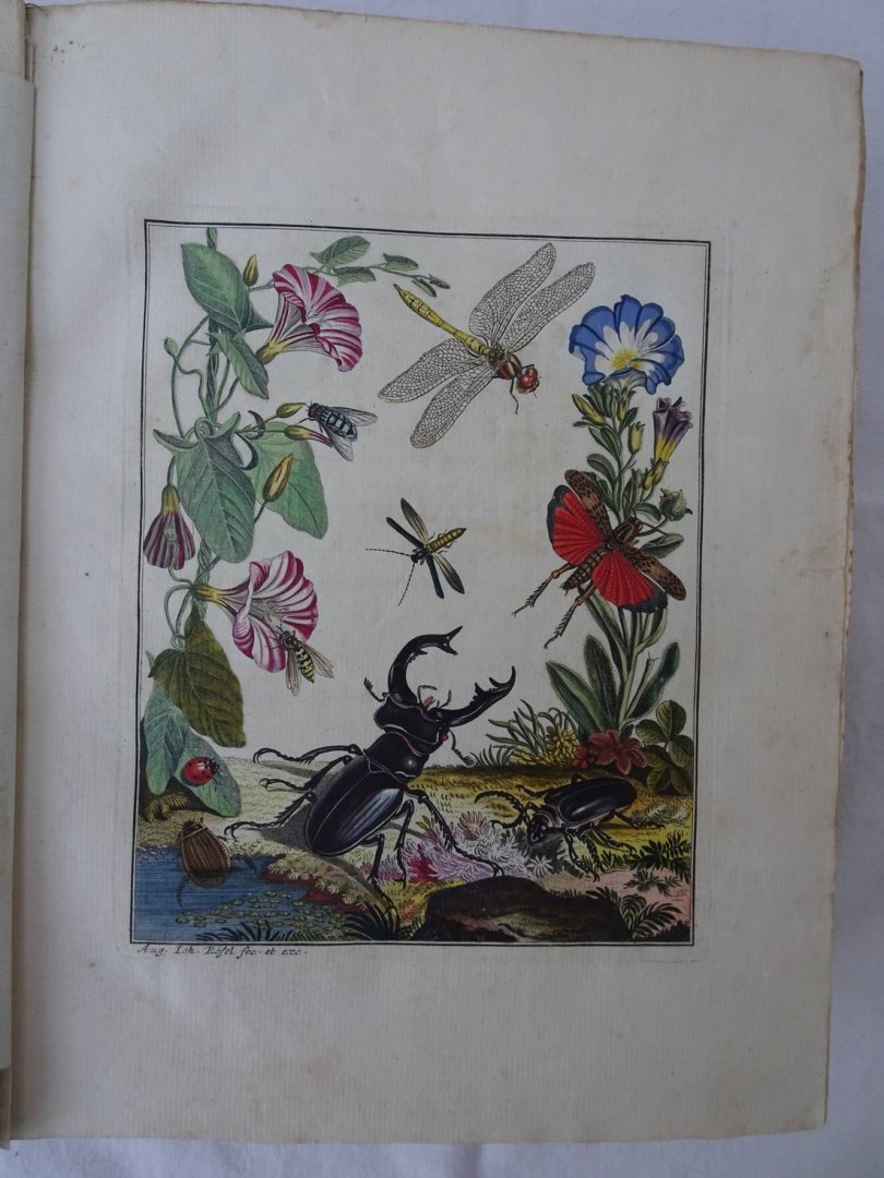 Rösel von Rosenhof, August Johan and C.FC. Kleemann. - De natuurlyke historie der insecten. Voorzien met naar `t Leven getekende en gekoleurde Plaaten. Volgens eigen ondervindling beschreeven, door de Heer August Johann Rösel, van Rosenhof, Miniatuur-Schilder. Met zeer nutte en fraaie Aanmerkingen...