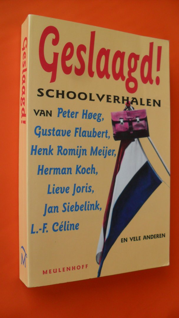 Hoeg/ Flaubert/ Meijer/ Koch/ Siebelink en anderen - Geslaagd!    schoolverhalen