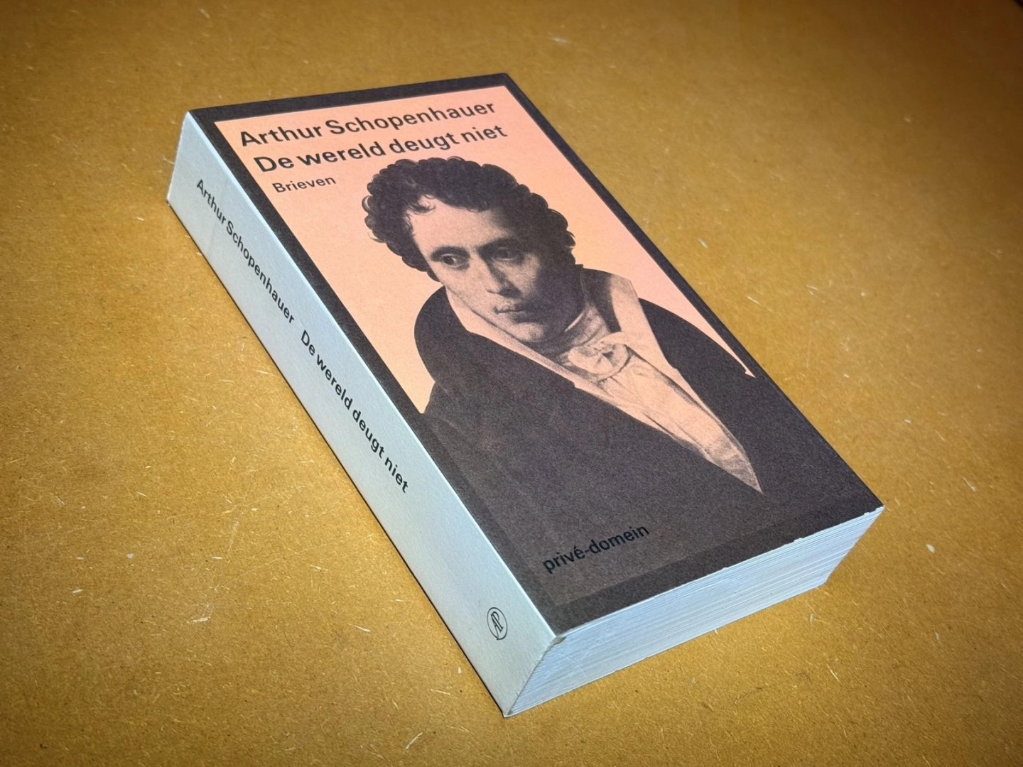 Arthur Schopenhauer; Tinke Davids (vertaling) - De wereld deugt niet, brieven [Prive Domein 181]